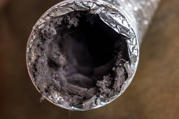 Best Home Air Vent Cleaning  in Tonkawa, OK
